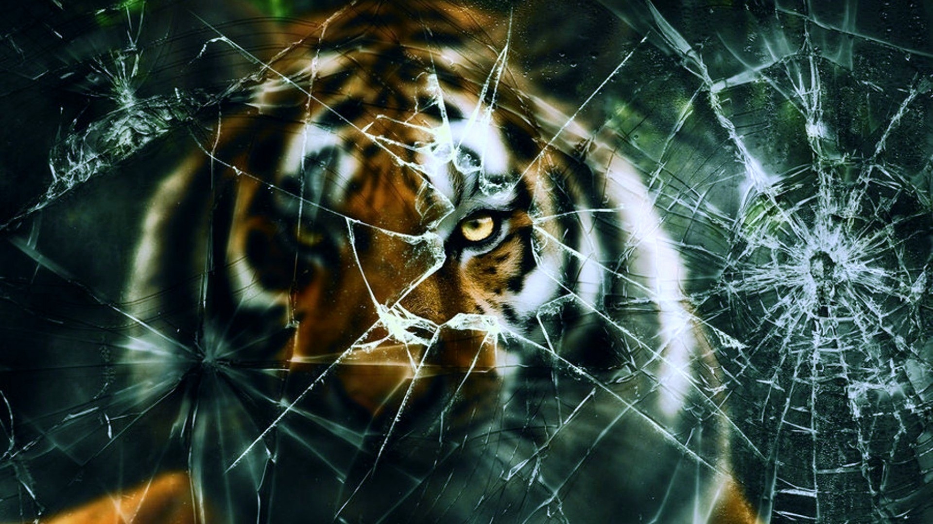 carta da parati schermo rotto,tigre del bengala,tigre,barba,felidae,natura