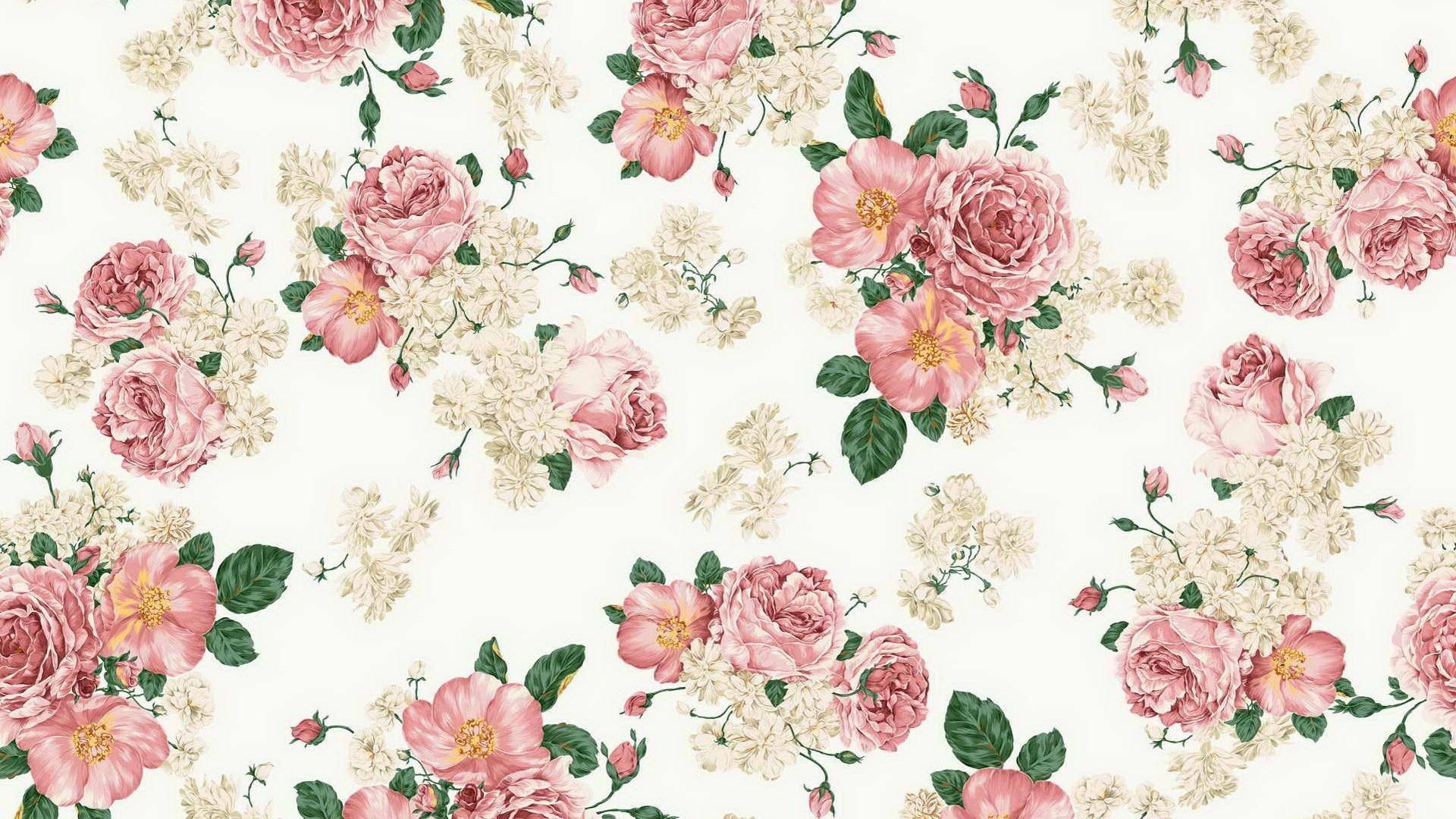美的壁紙,ピンク,花柄,庭のバラ,パターン,ローズ