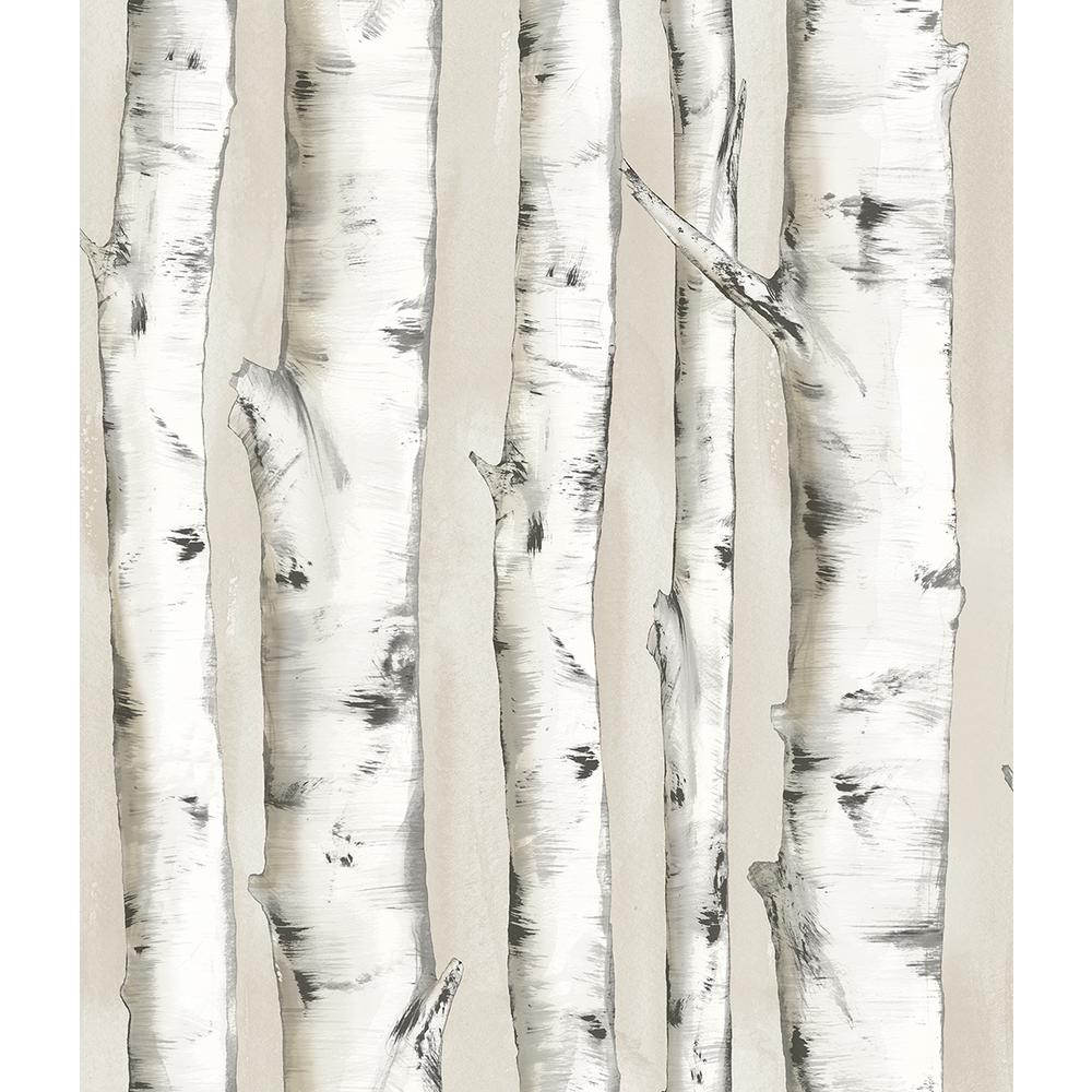 best friend wallpaper,canoe birch,tree,birch,woody plant,trunk