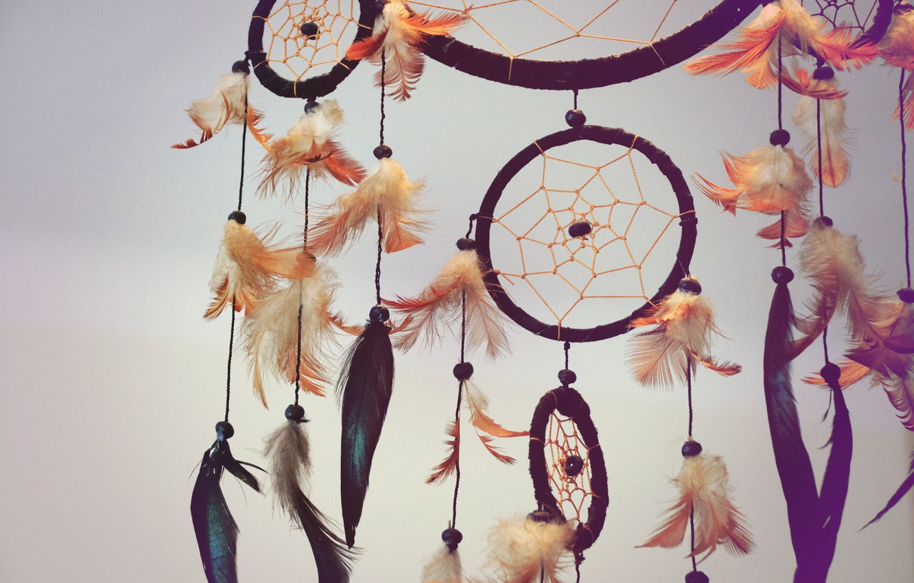 dreamcatcher wallpaper,feather,textile,baby toys,fashion accessory,home accessories