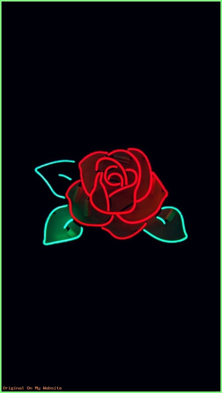 neon wallpaper,red,rose,green,rose family,font