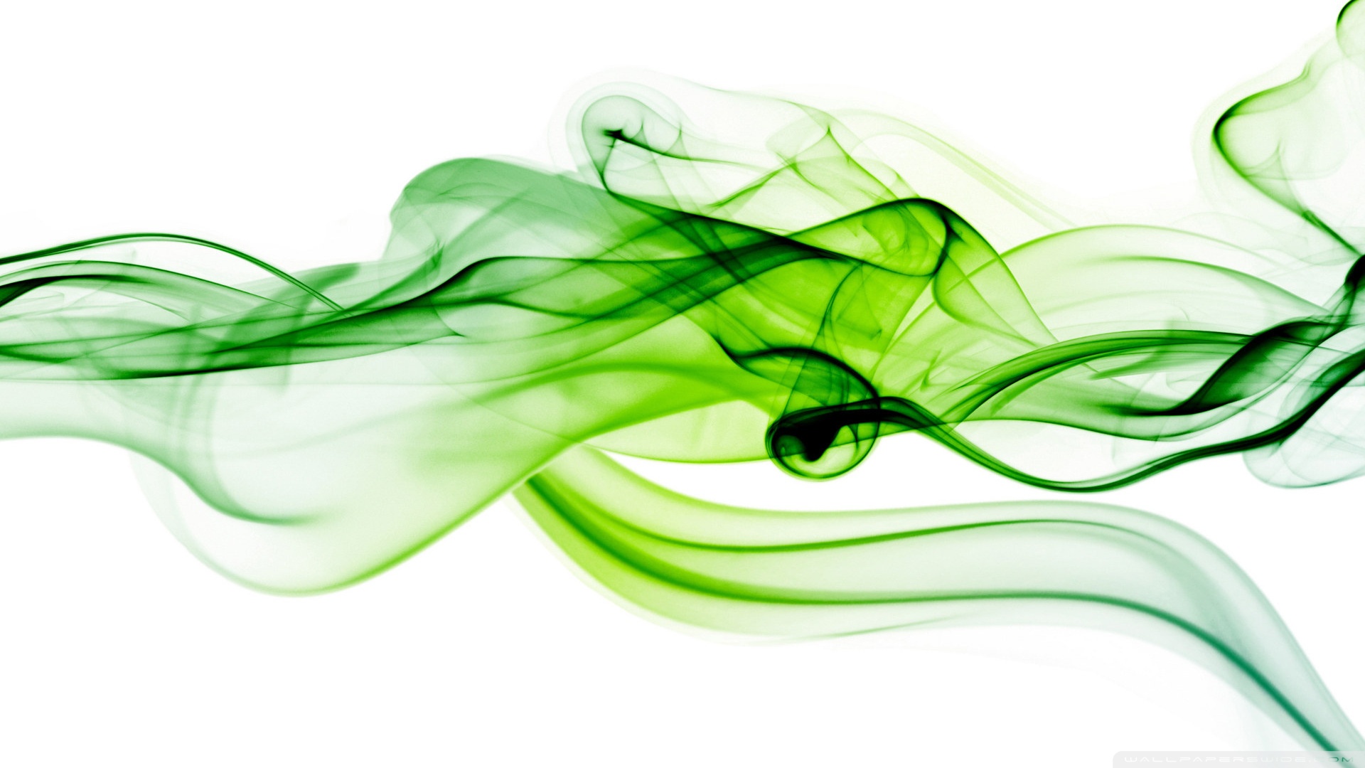 smoke wallpaper,green,smoke,plant,graphic design