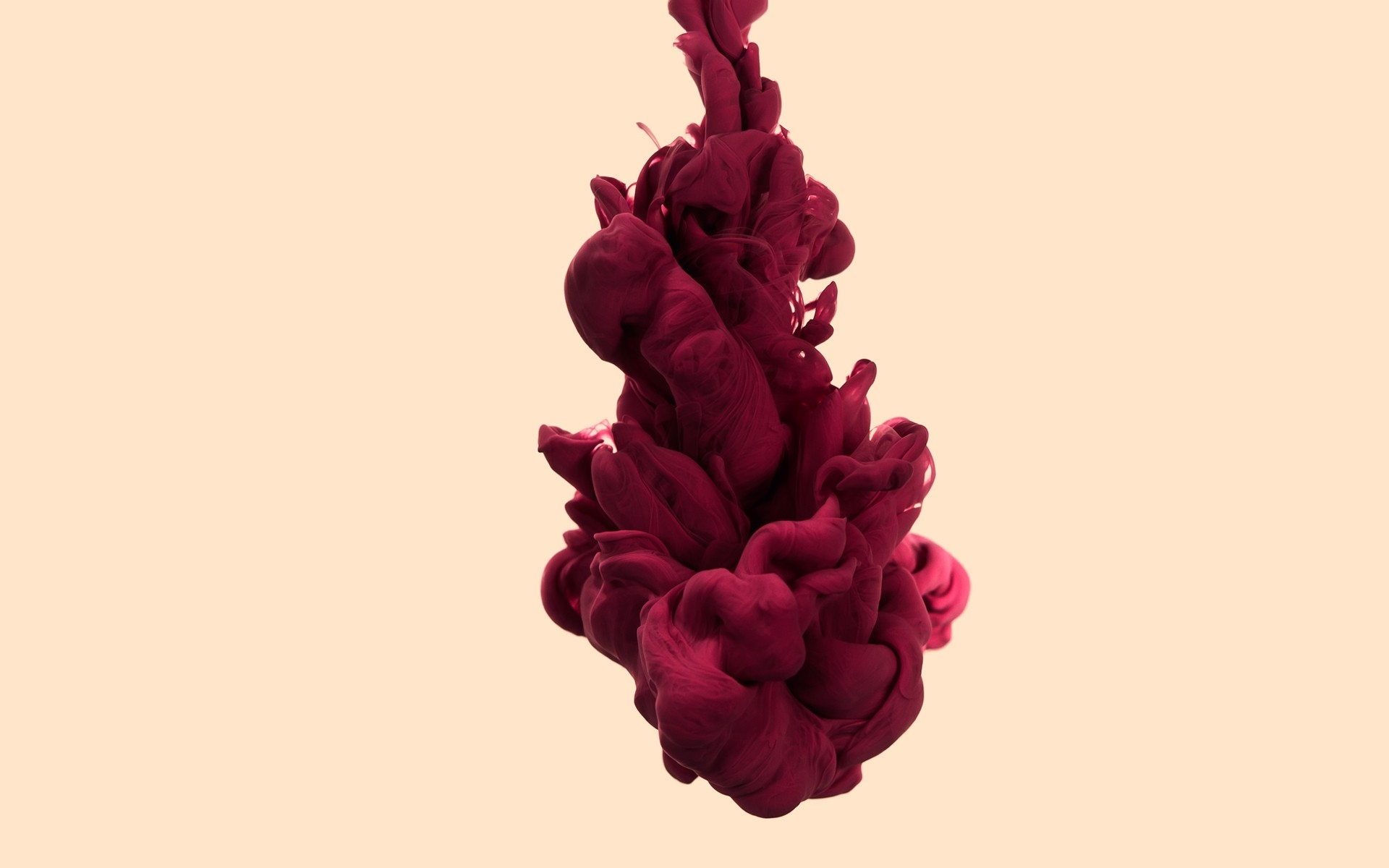 fond d'écran de fumée,rouge,rose,fleur,plante,pétale