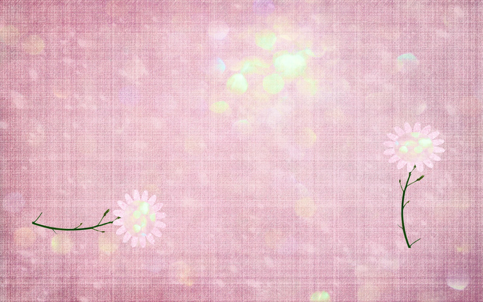 desktop wallpaper tumblr,pink,botany,flower,dandelion,pattern