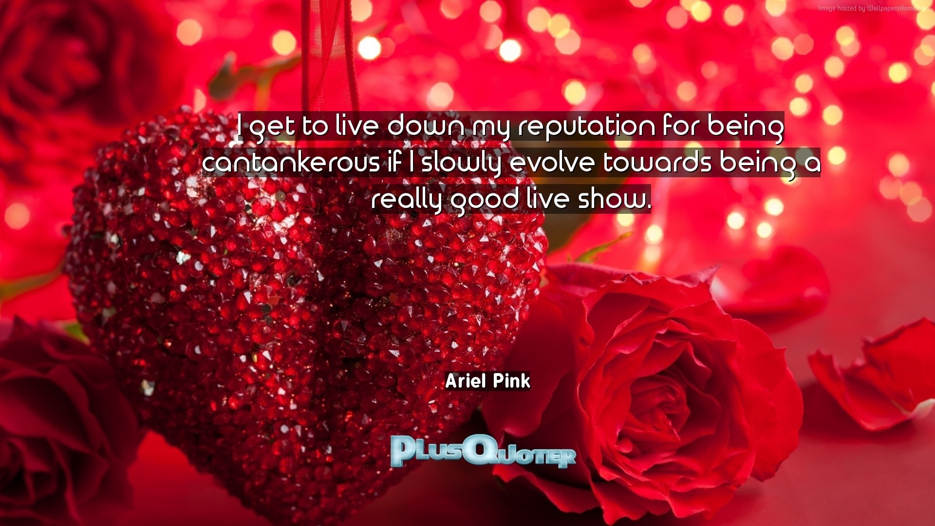 mi foto fondo de pantalla en vivo,rojo,día de san valentín,amor,texto,rosa