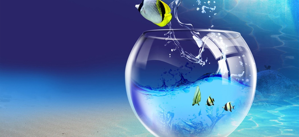 my photo live wallpaper,water,world,liquid,graphic design,illustration