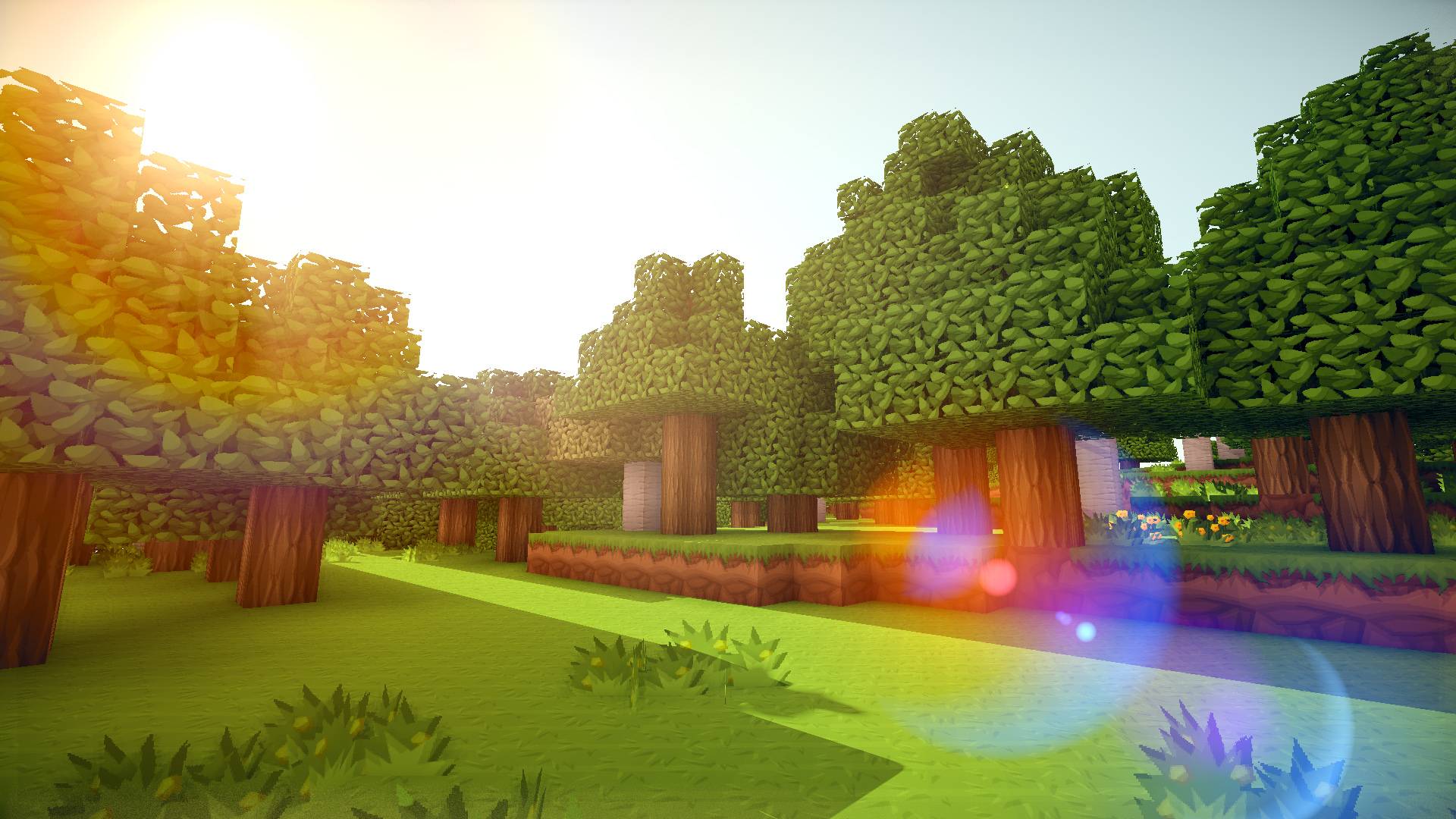 minecraft wallpaper,natural landscape,tree,biome,grass,sky