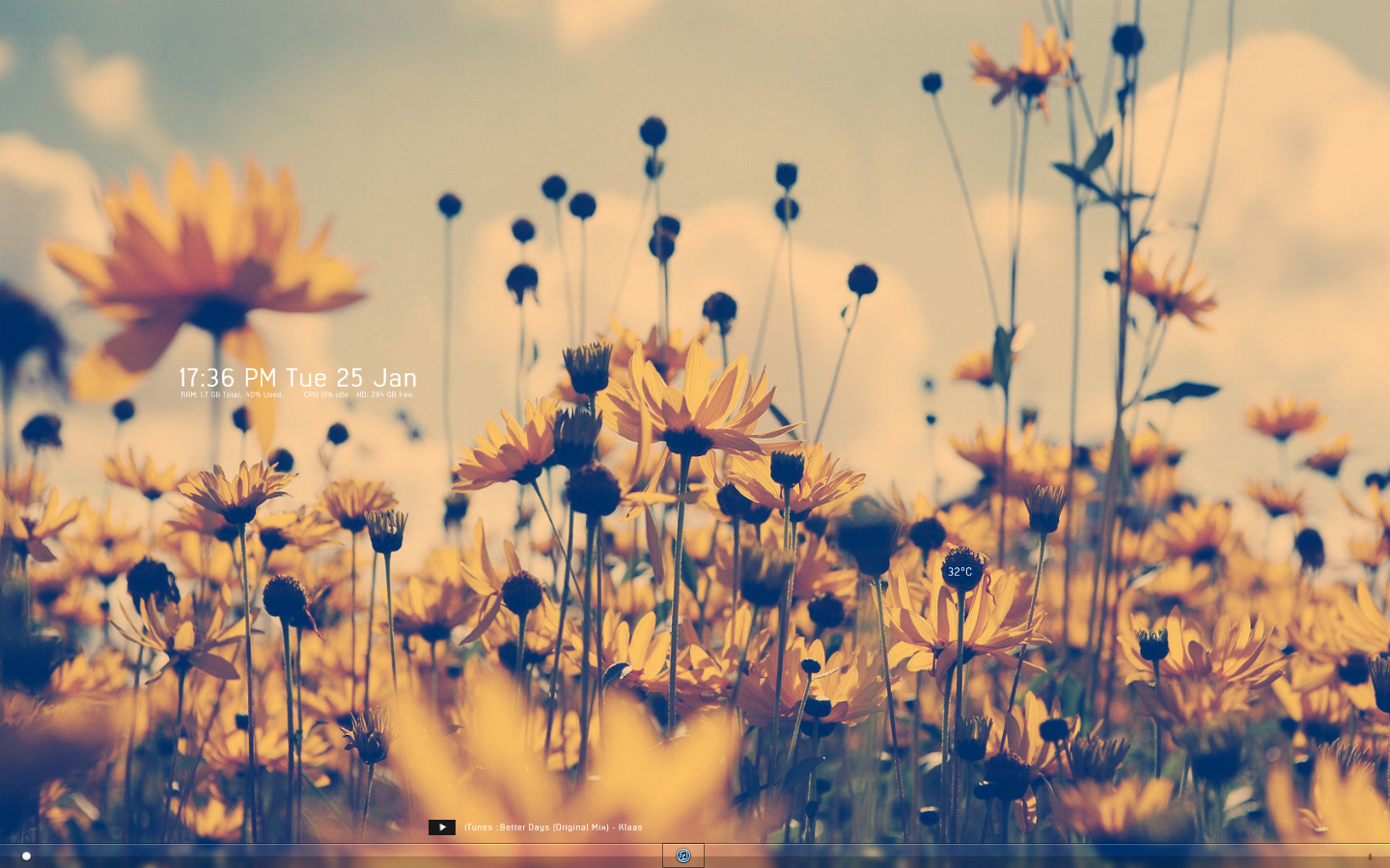 fond d'écran tumblr hd,la nature,ciel,bleu,fleur,jaune