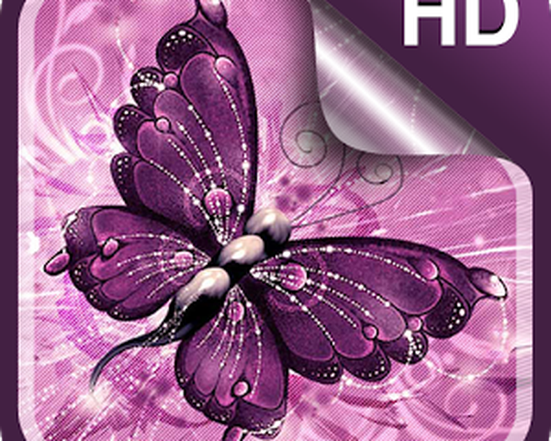 farfalla live wallpaper,la farfalla,viola,viola,lilla,falene e farfalle