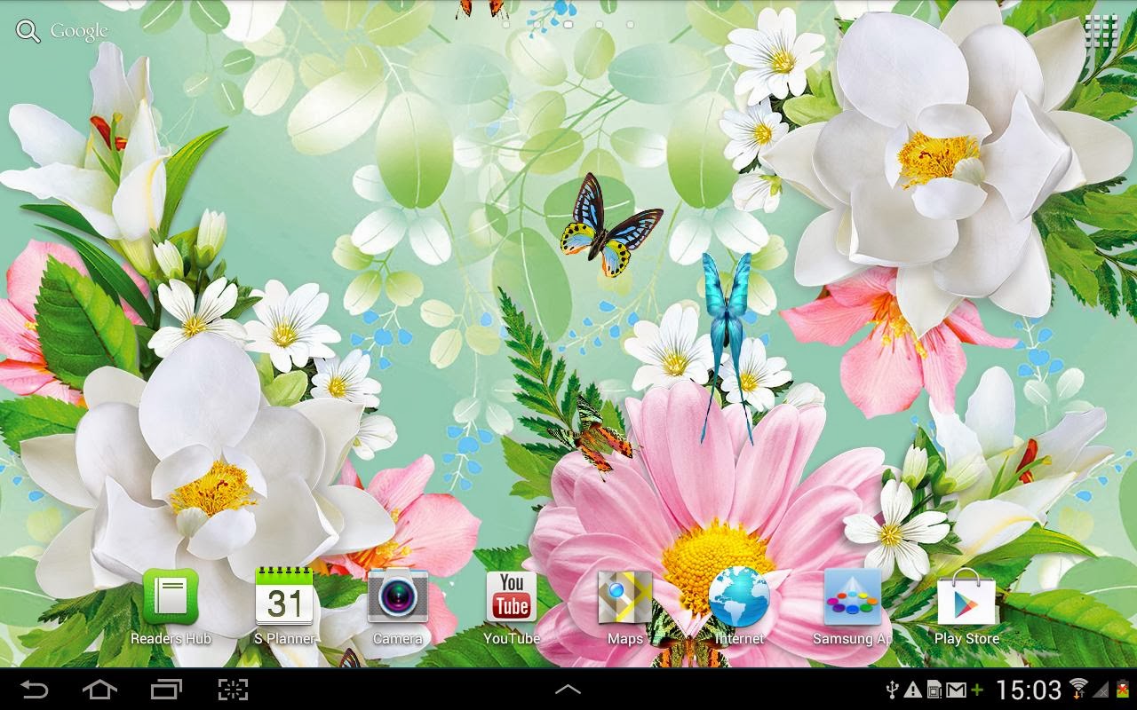 나비 라이브 배경 화면,자연,꽃,프르 메리아,꽃잎,식물