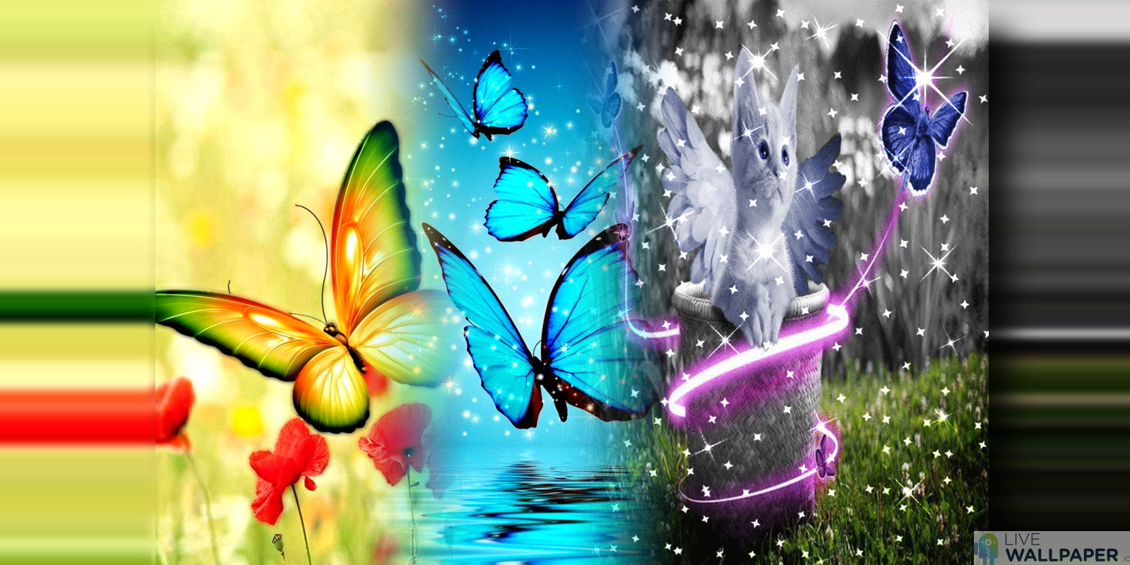 farfalla live wallpaper,la farfalla,natura,disegno grafico,falene e farfalle,insetto