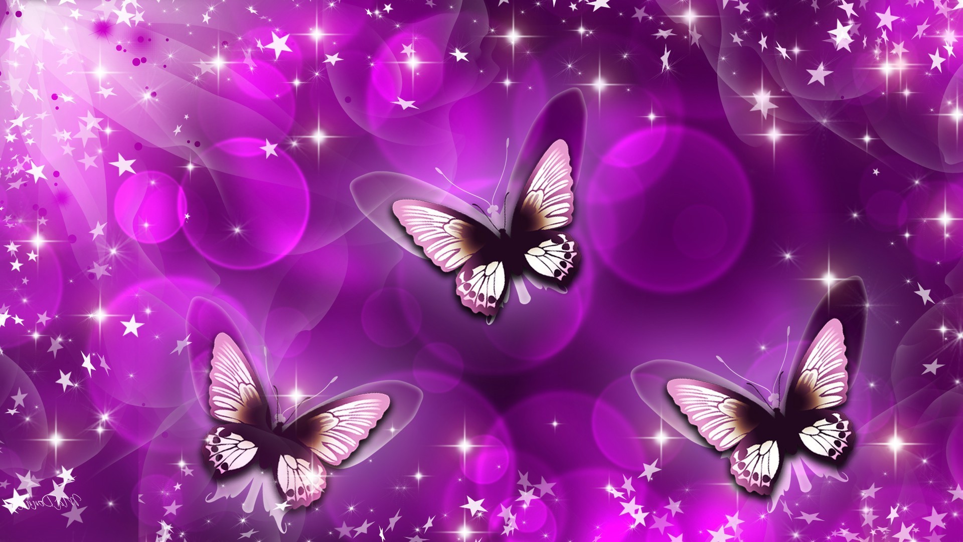 나비 라이브 배경 화면,나비,보라색,제비꽃,곤충,나방과 나비