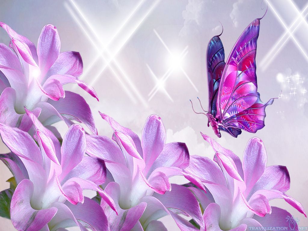 mariposa live wallpaper,púrpura,lila,violeta,rosado,lavanda