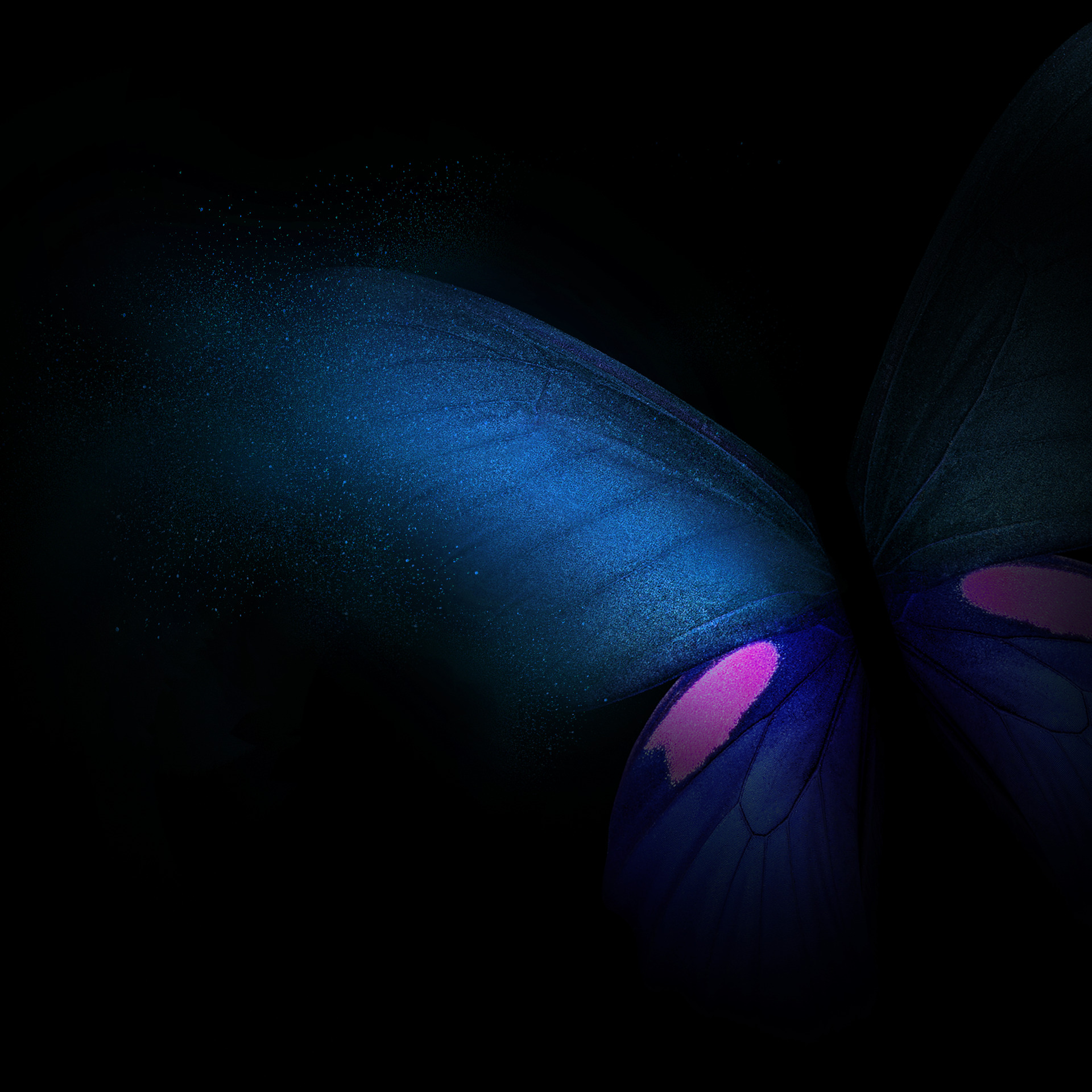 mariposa live wallpaper,azul,oscuridad,ligero,atmósfera,azul eléctrico