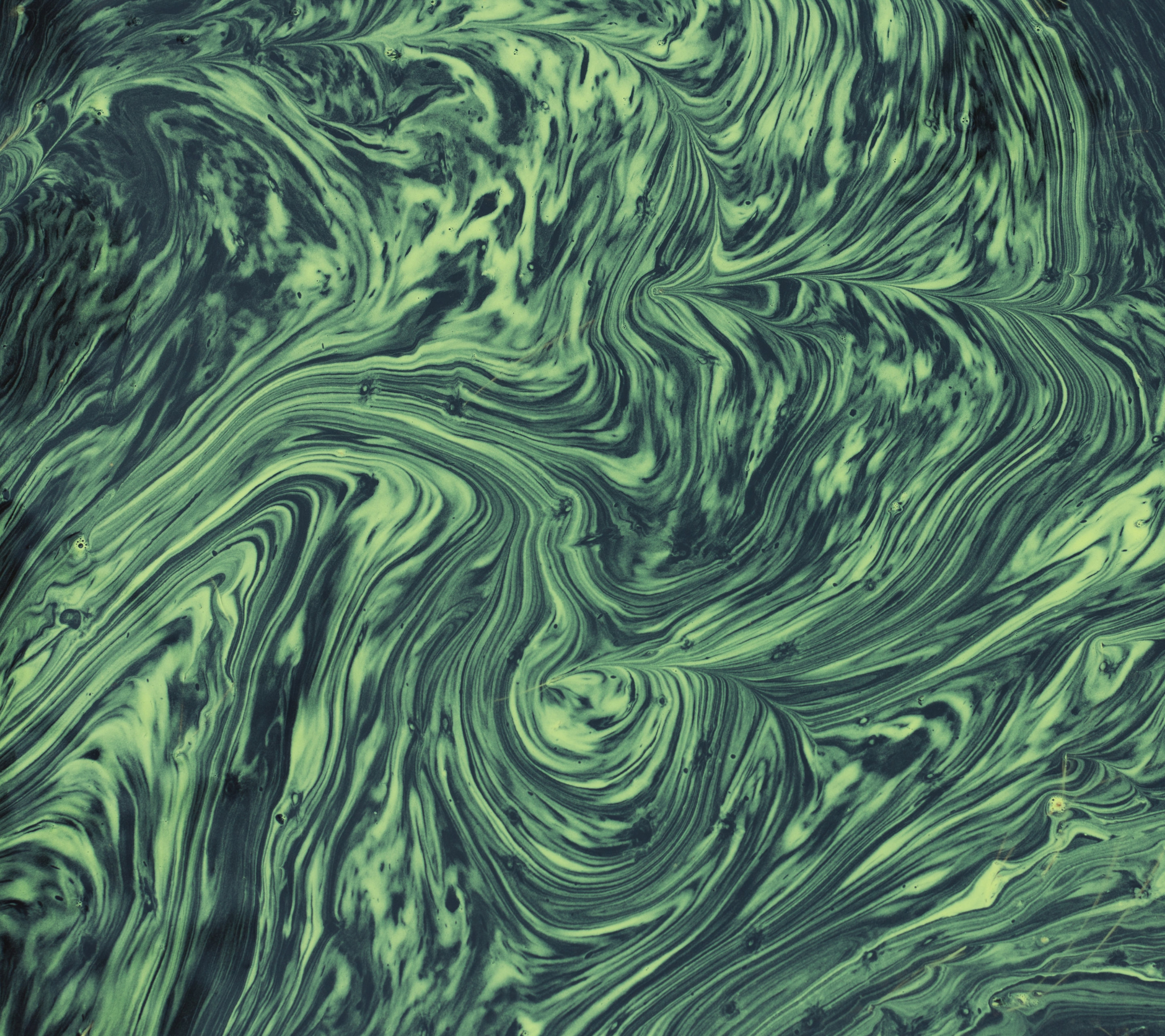 google pixel wallpaper,green,water,pattern,design,organism