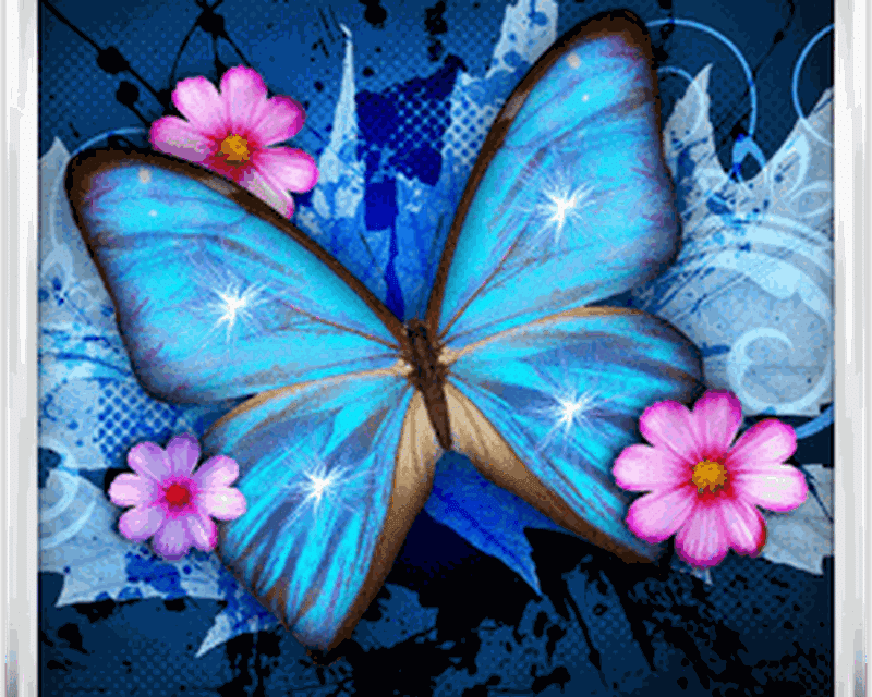 mariposa live wallpaper,mariposa,polillas y mariposas,insecto,azul,rosado