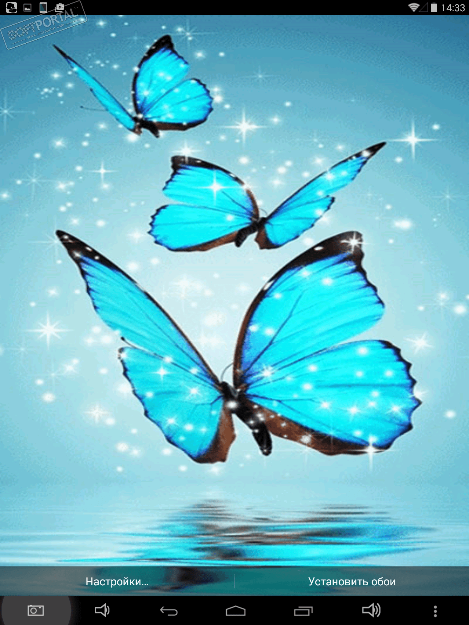 butterfly live wallpaper,butterfly,nature,blue,insect,moths and butterflies