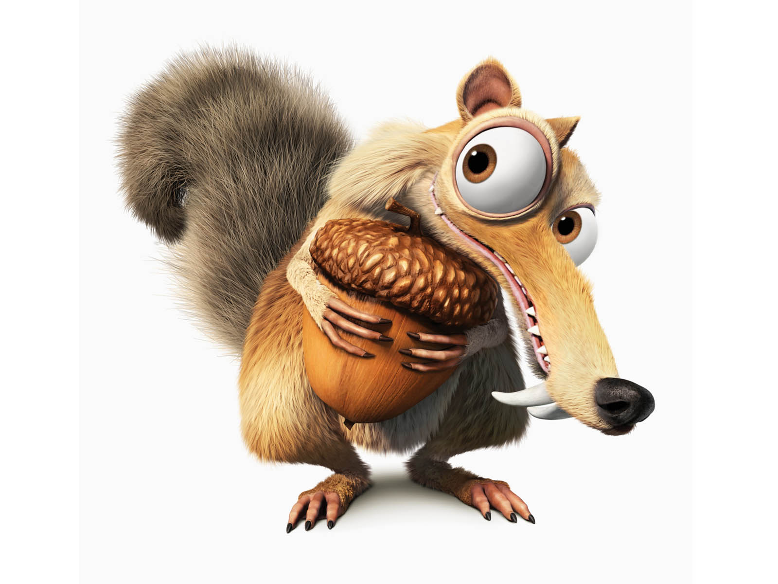 1000 hintergrundbilder,eichhörnchen,chipmunk,karikatur,animierter cartoon,eurasisches eichhörnchen