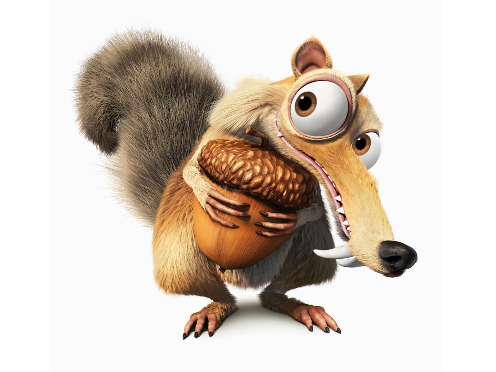 1000 wallpapers,squirrel,chipmunk,cartoon,animated cartoon,eurasian red squirrel