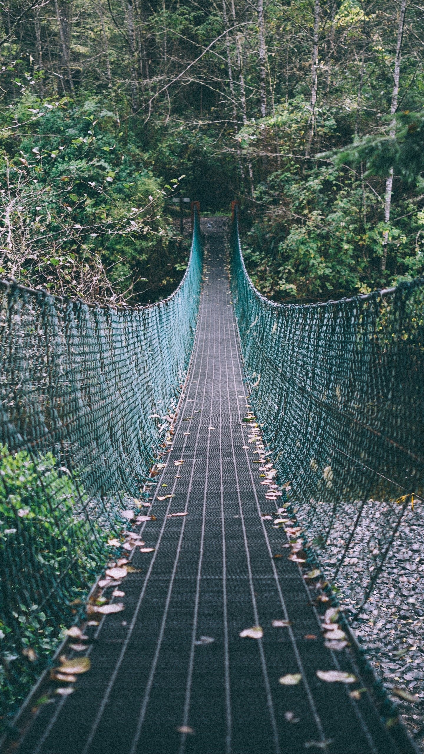 fondo de pantalla de google pixel,puente,puente colgante,puente de cuerda,árbol,vía pública