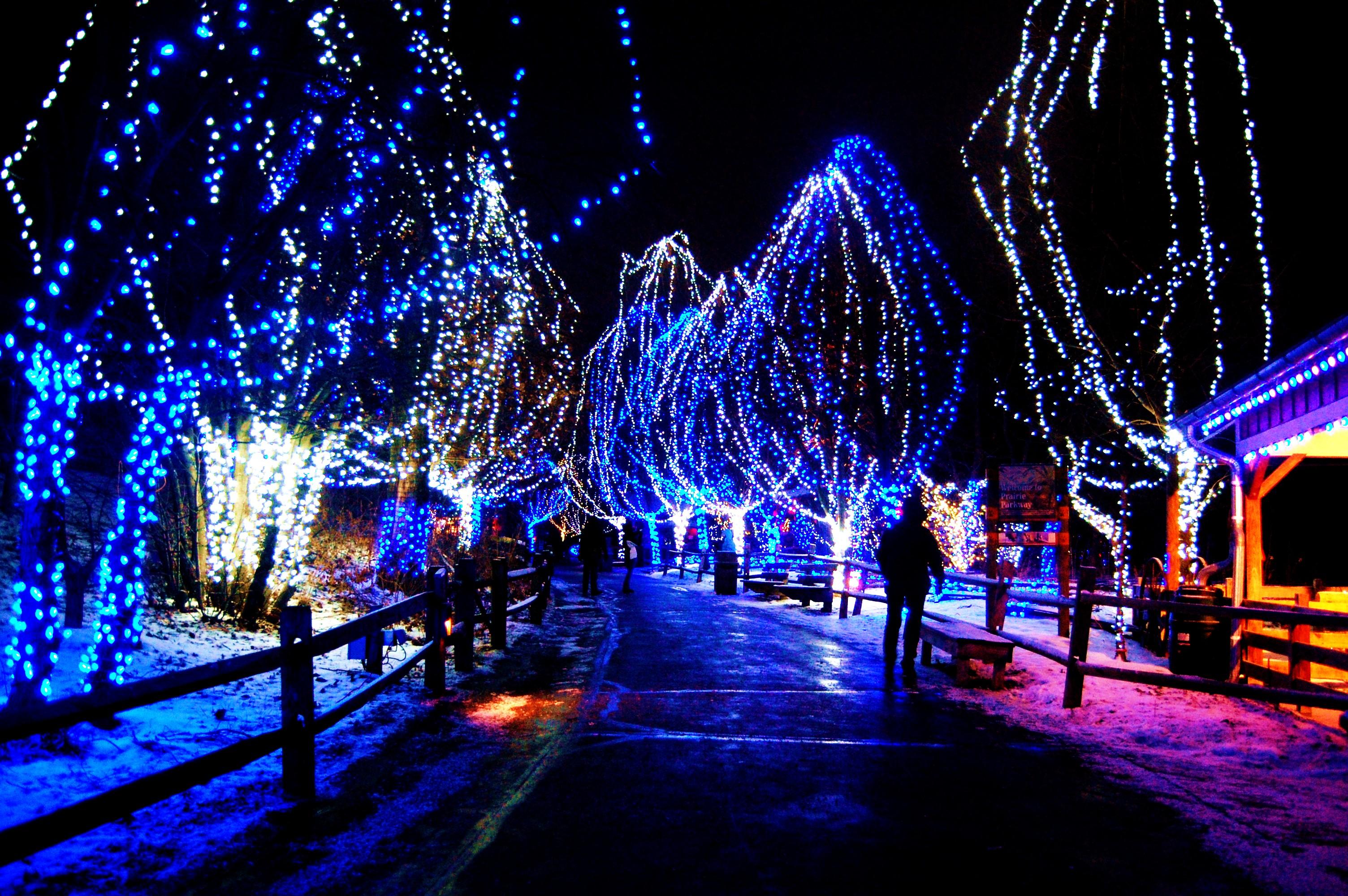 christmas live wallpaper,christmas lights,blue,light,landmark,lighting