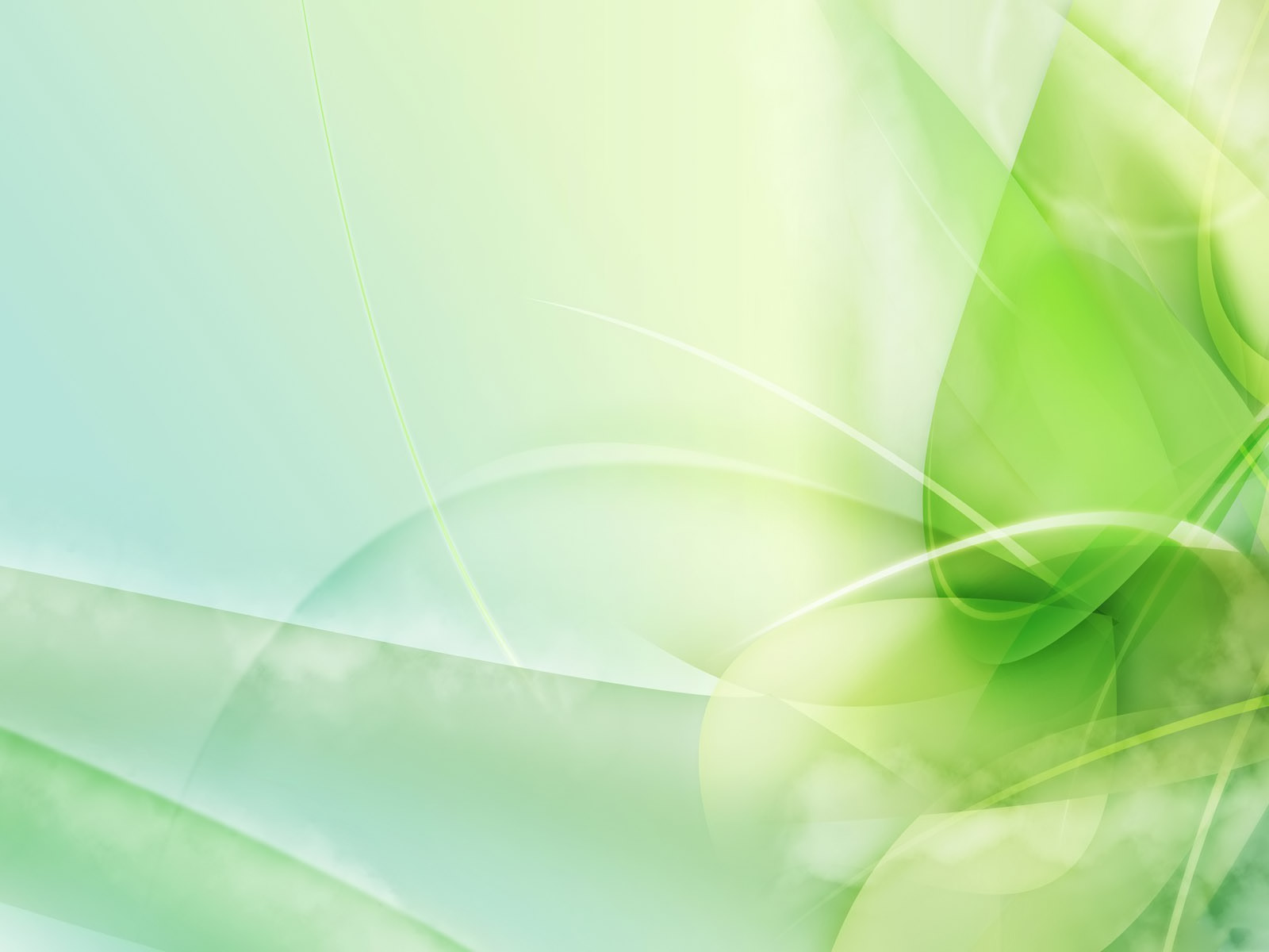 녹색 벽지 hd,초록,잎,선,그래픽 디자인,식물