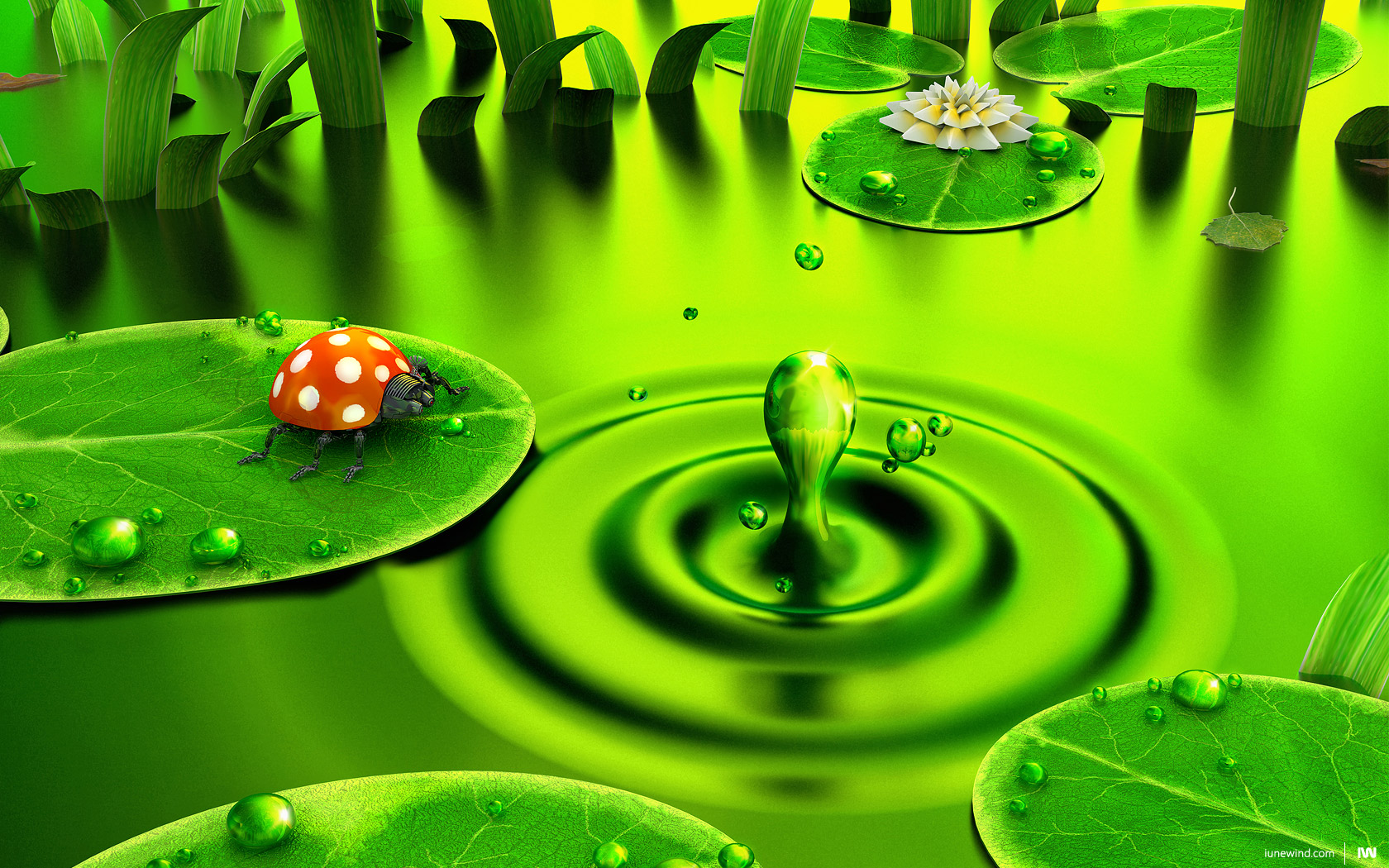 fondo de pantalla verde hd,verde,agua,hoja,soltar,rocío