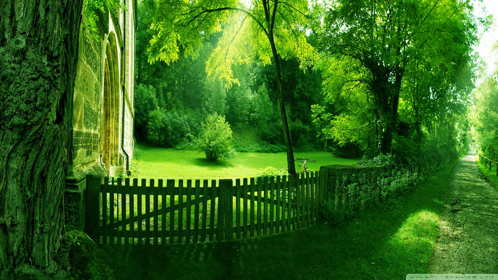 fondo de pantalla verde hd,verde,paisaje natural,naturaleza,árbol,césped