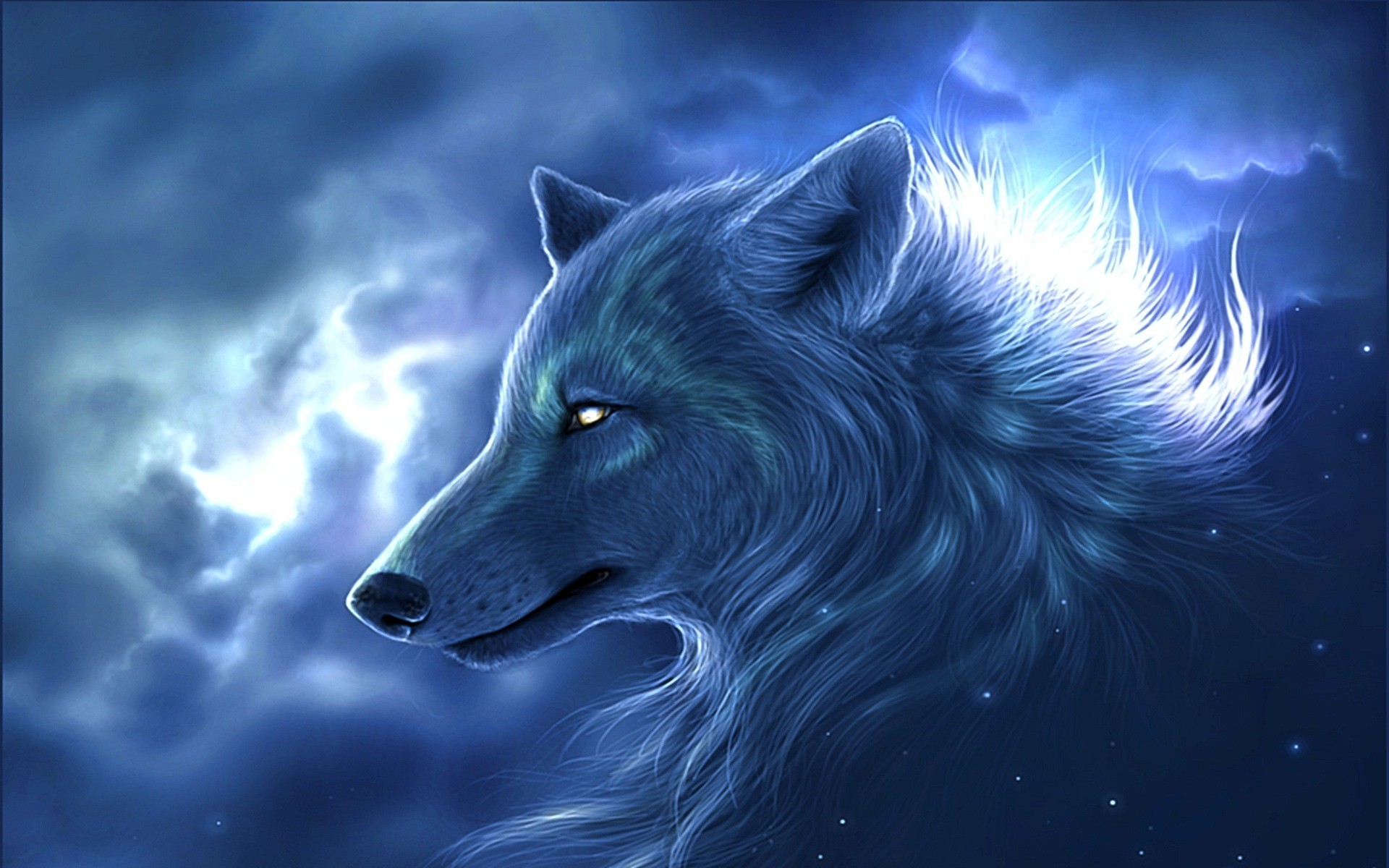 wallpapers 3d,canidae,wolf,canis lupus tundrarum,sky,snout