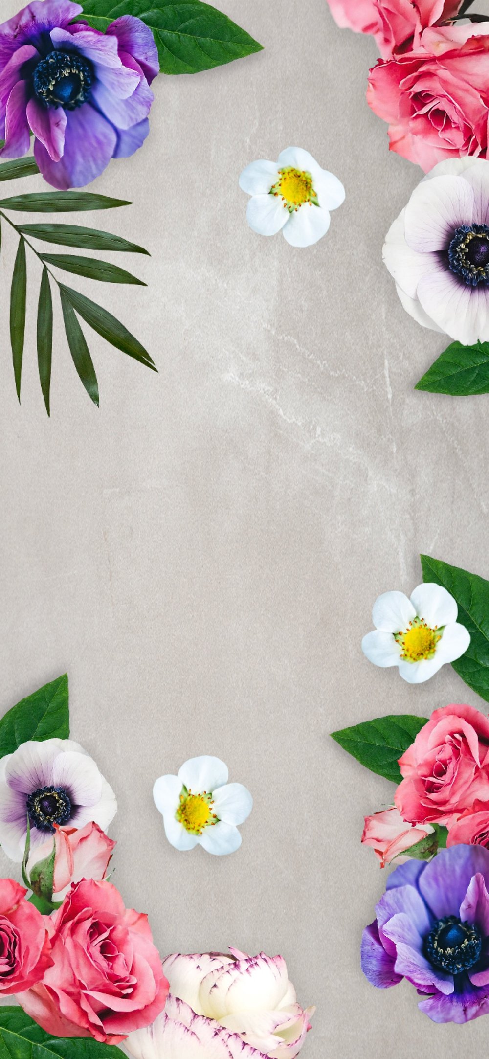 home screen wallpapers,flower,petal,plant,botany,floral design