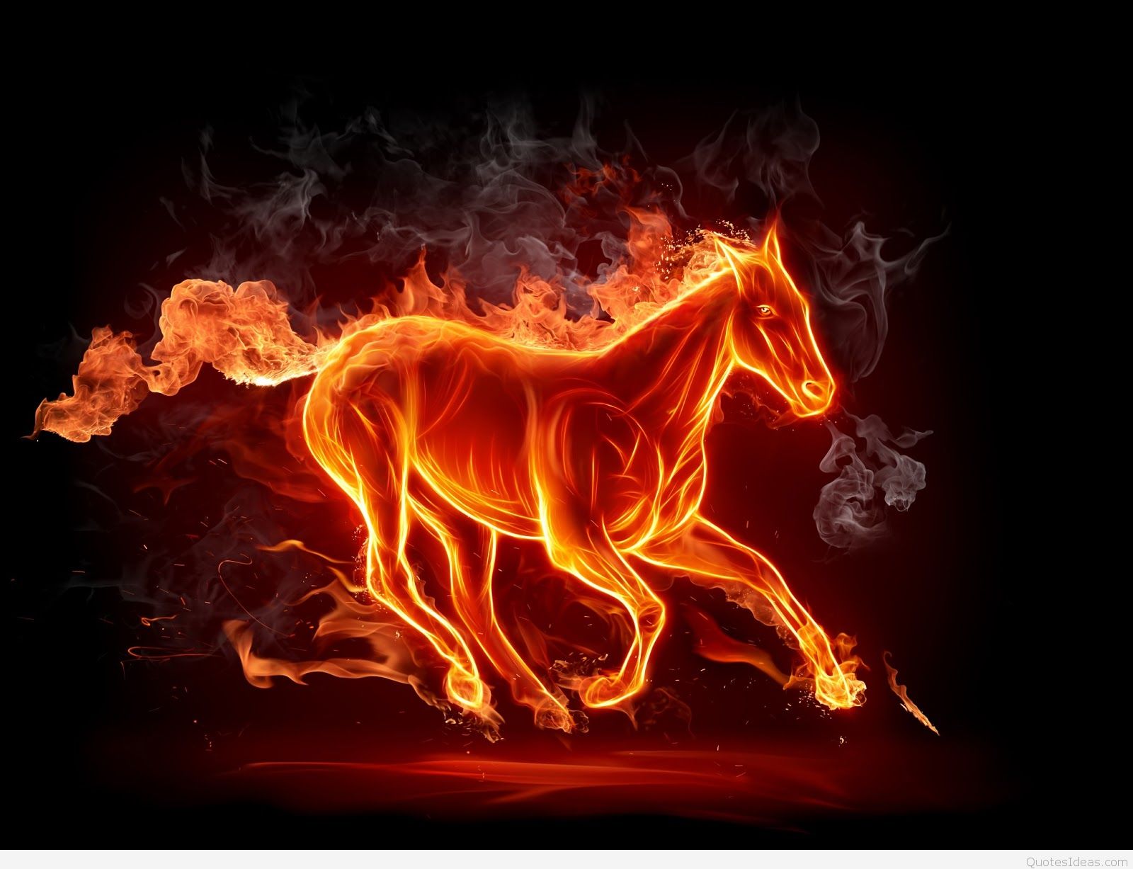 wallpapers 3d,flame,heat,horse,fire,font