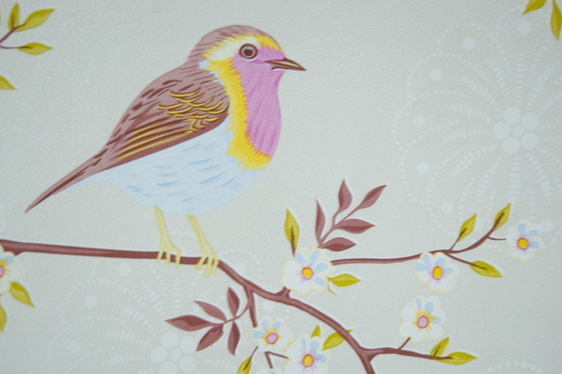wallpapers 3d,bird,branch,beak,yellow,twig