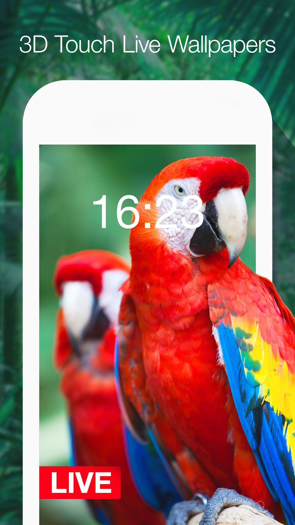 10000 fondos de pantalla,pájaro,guacamayo,loro,perico,fauna silvestre