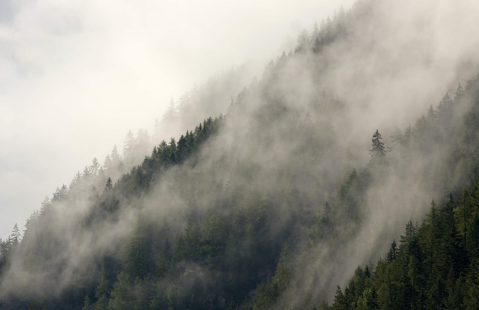 papel pintado brumoso,niebla,niebla,cielo,nube,estación de la colina
