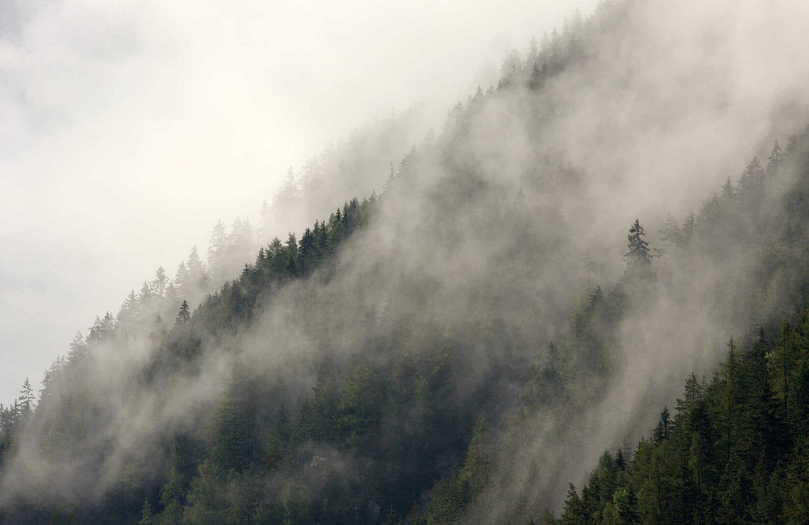 neblige tapete,nebel,nebel,himmel,wolke,bergstation