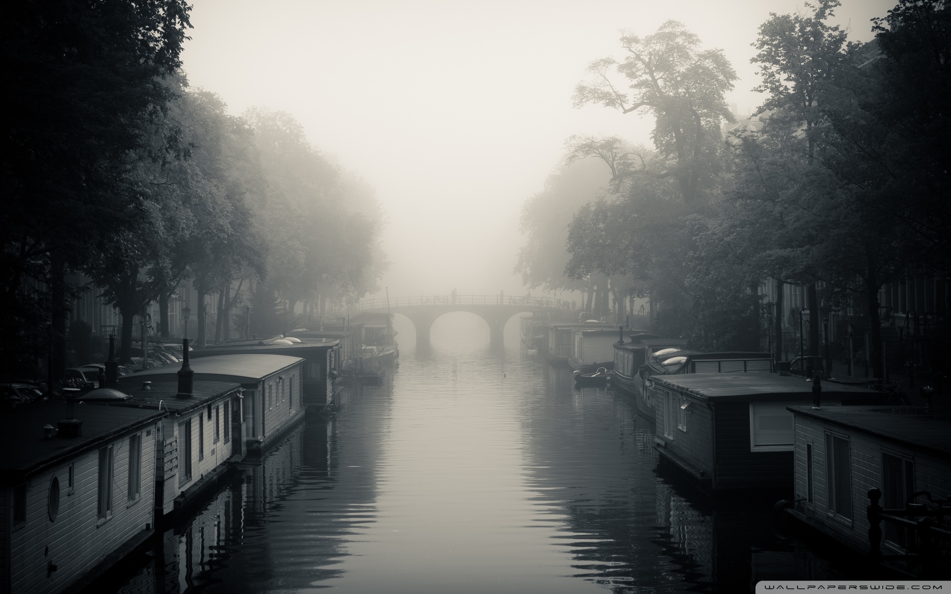 carta da parati nebbiosa,nebbia,acqua,cielo,corso d'acqua,nebbia