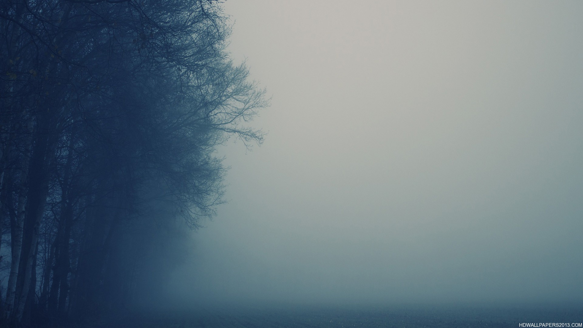 misty wallpaper,sky,blue,atmospheric phenomenon,fog,atmosphere