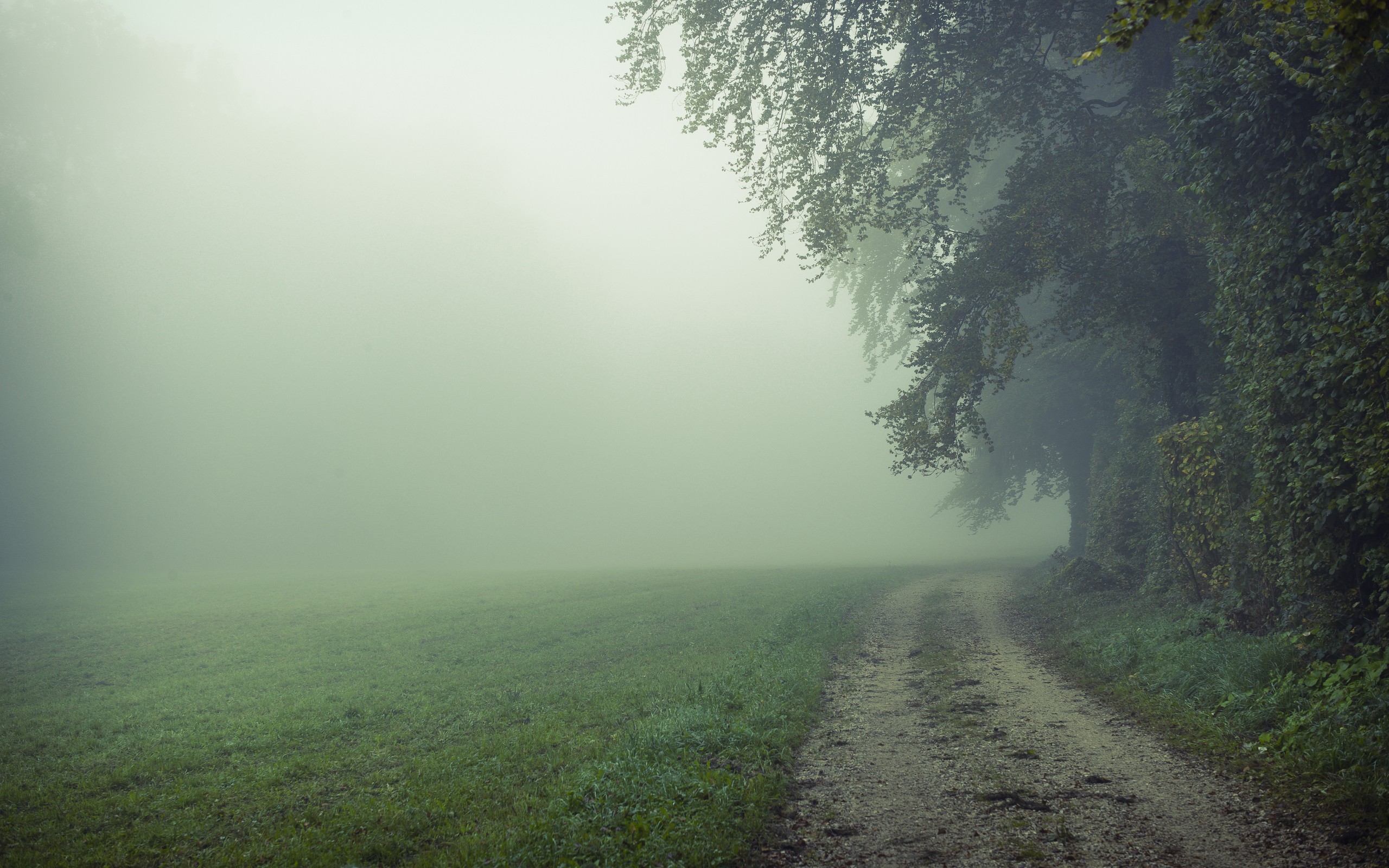 neblige tapete,nebel,nebel,natur,natürliche landschaft,himmel