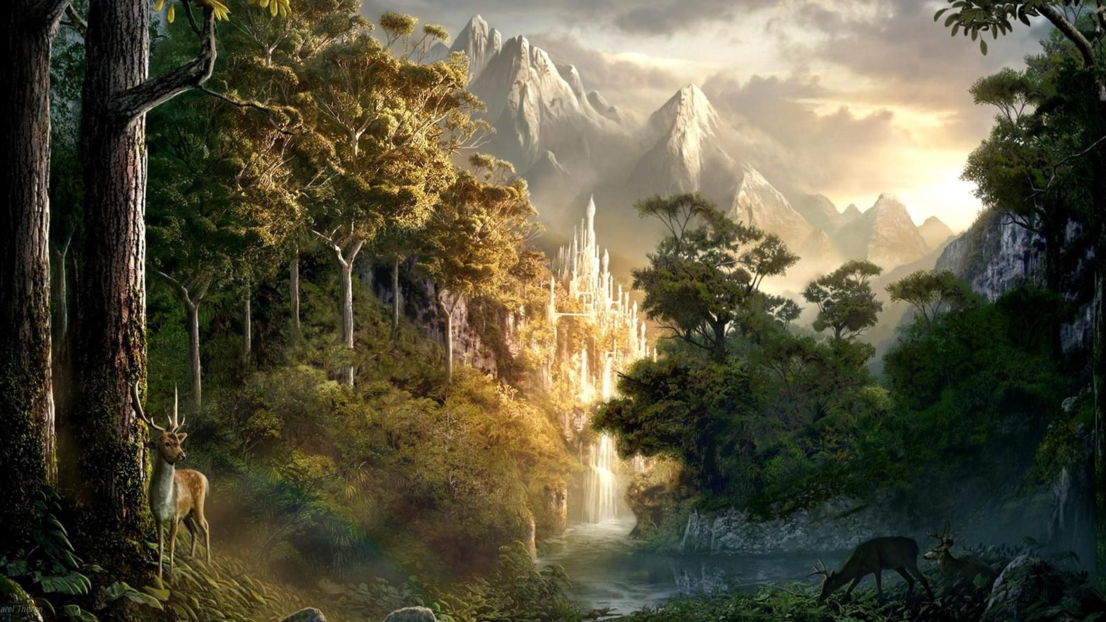 fondo de pantalla de senhor dos aneis,paisaje natural,naturaleza,bosque de crecimiento antiguo,selva,bosque