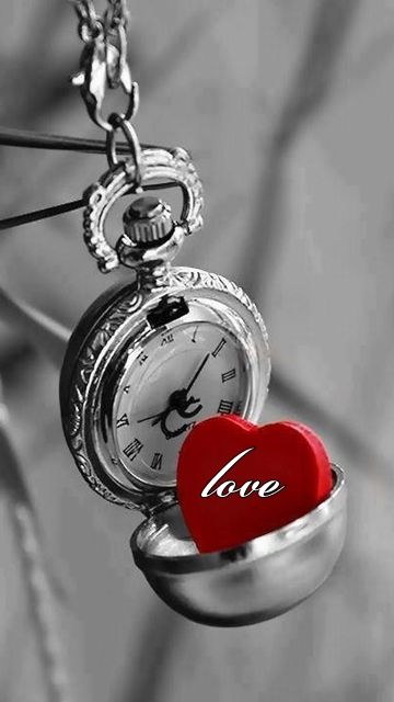 360x640 wallpapers,watch,pocket watch,pendant,locket,stopwatch