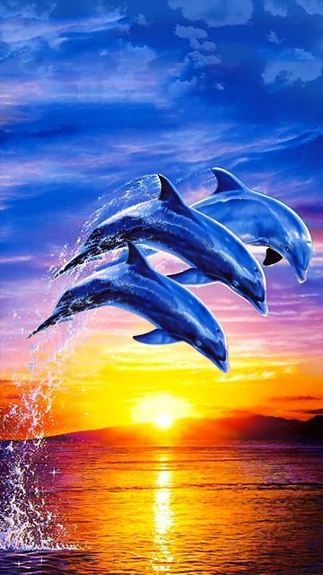 360x640 wallpapers,dolphin,bottlenose dolphin,cetacea,marine mammal,short beaked common dolphin