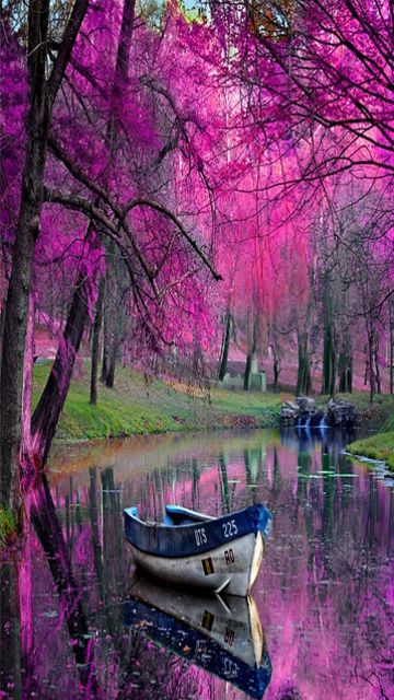360x640 wallpapers,natural landscape,nature,reflection,purple,pink