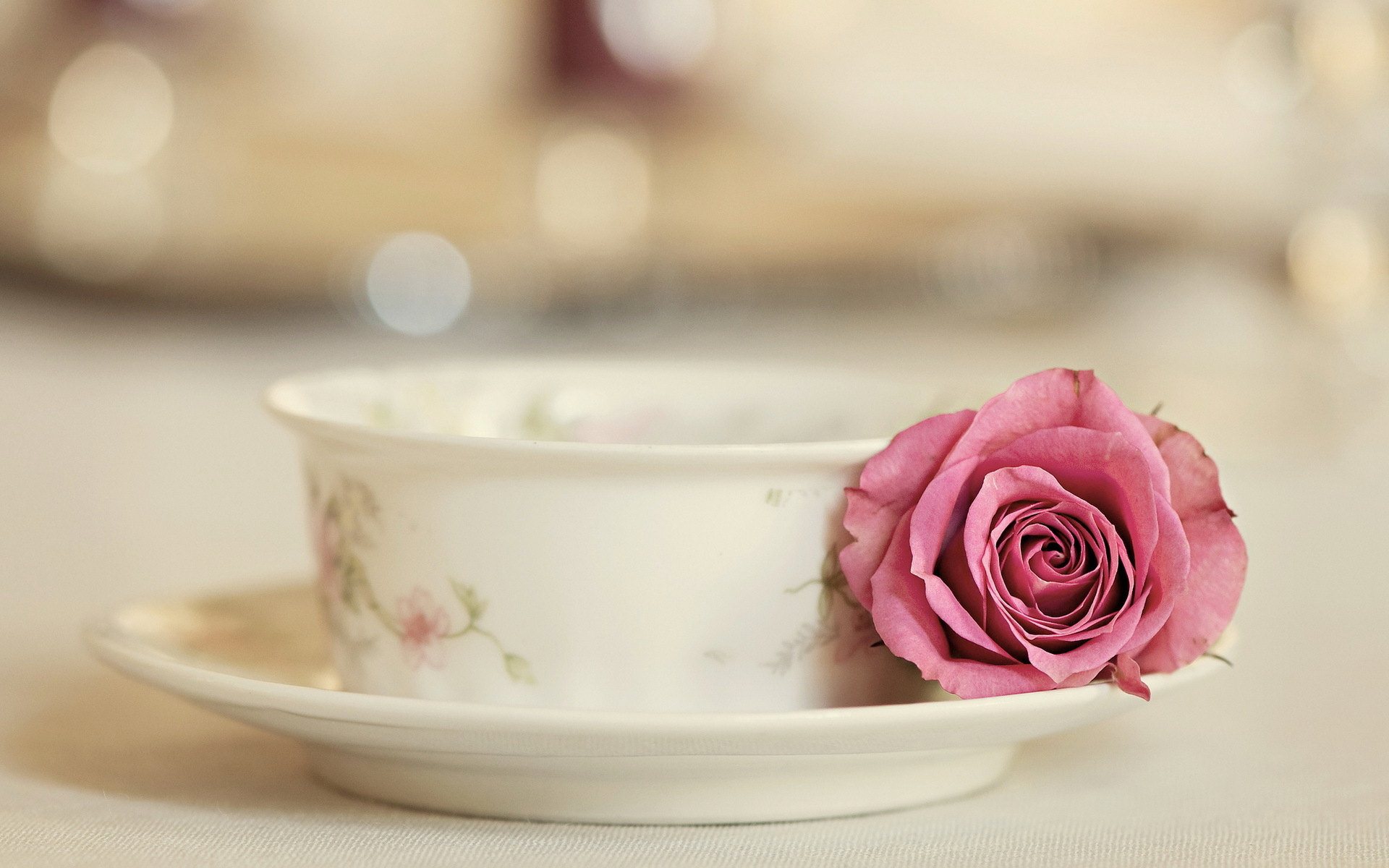 おはようティーカップの壁紙,ピンク,カップ,茶碗,食器,カップ