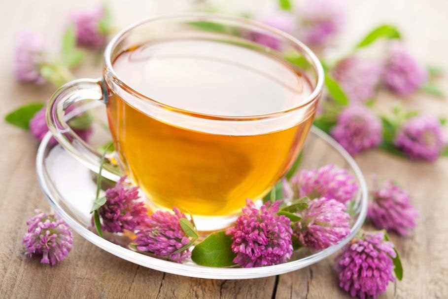 good morning tea cup wallpaper,chinese herb tea,herbal,flower,chrysanthemum tea,drink