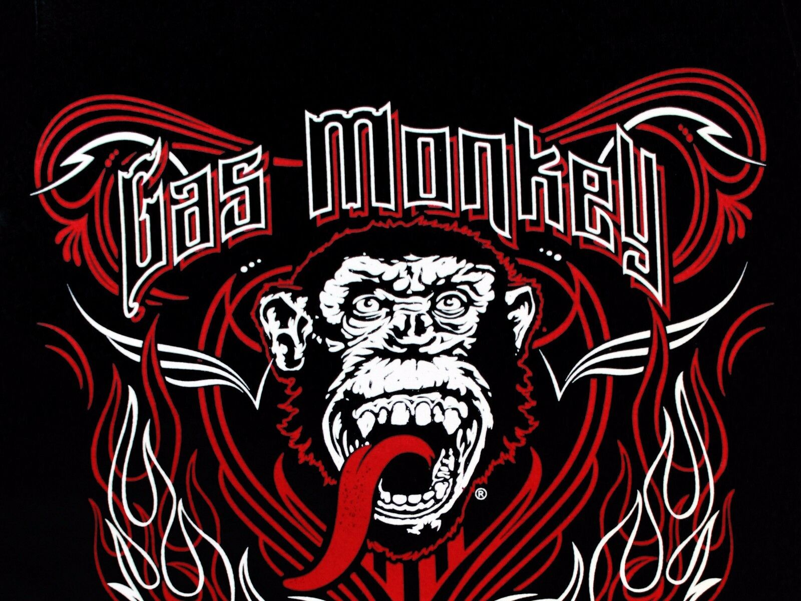 gas monkey wallpaper,fuente,ilustración,camiseta,diseño gráfico,primate