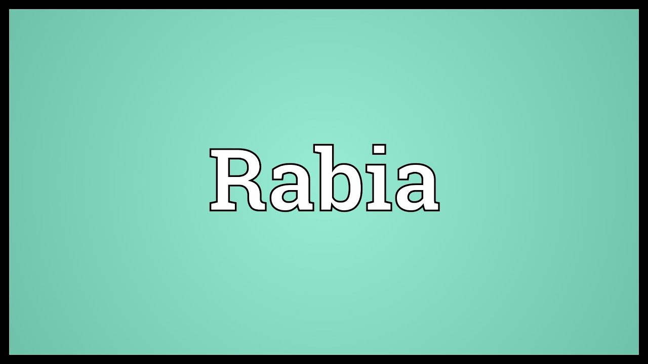 carta da parati con nome rabi,verde,testo,font,turchese,acqua