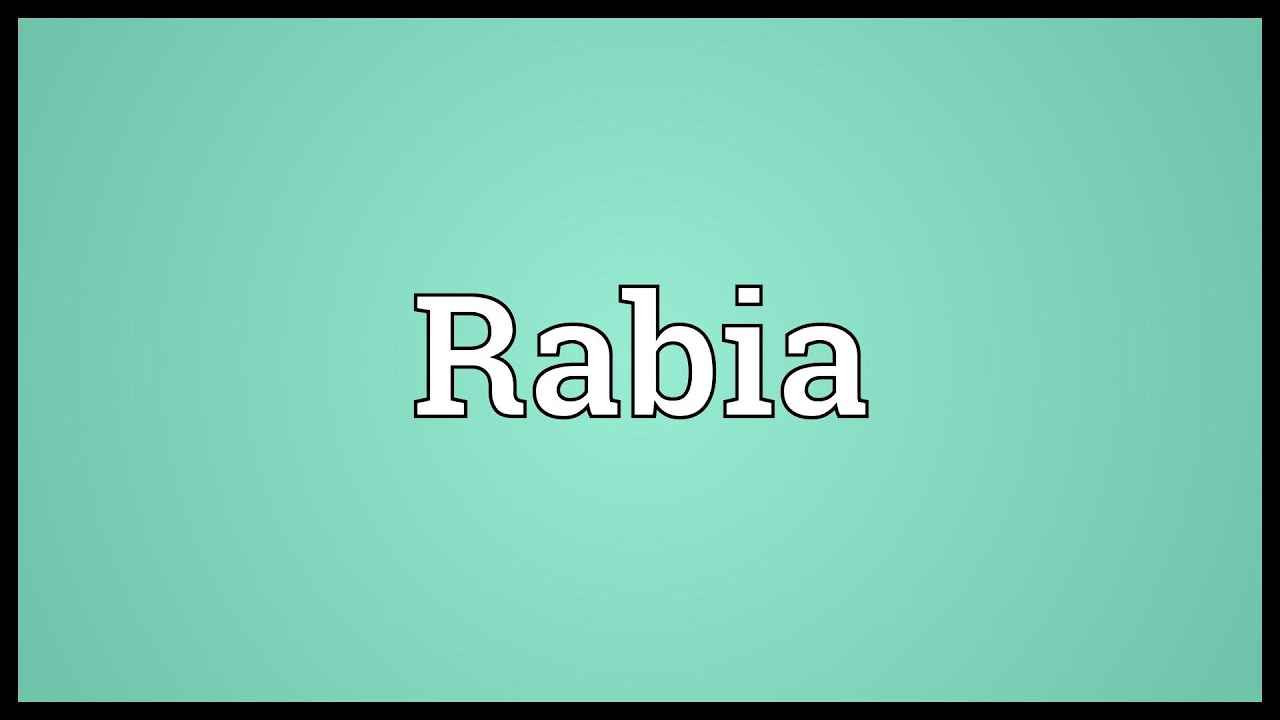 rabi name wallpaper,grün,text,schriftart,türkis,aqua