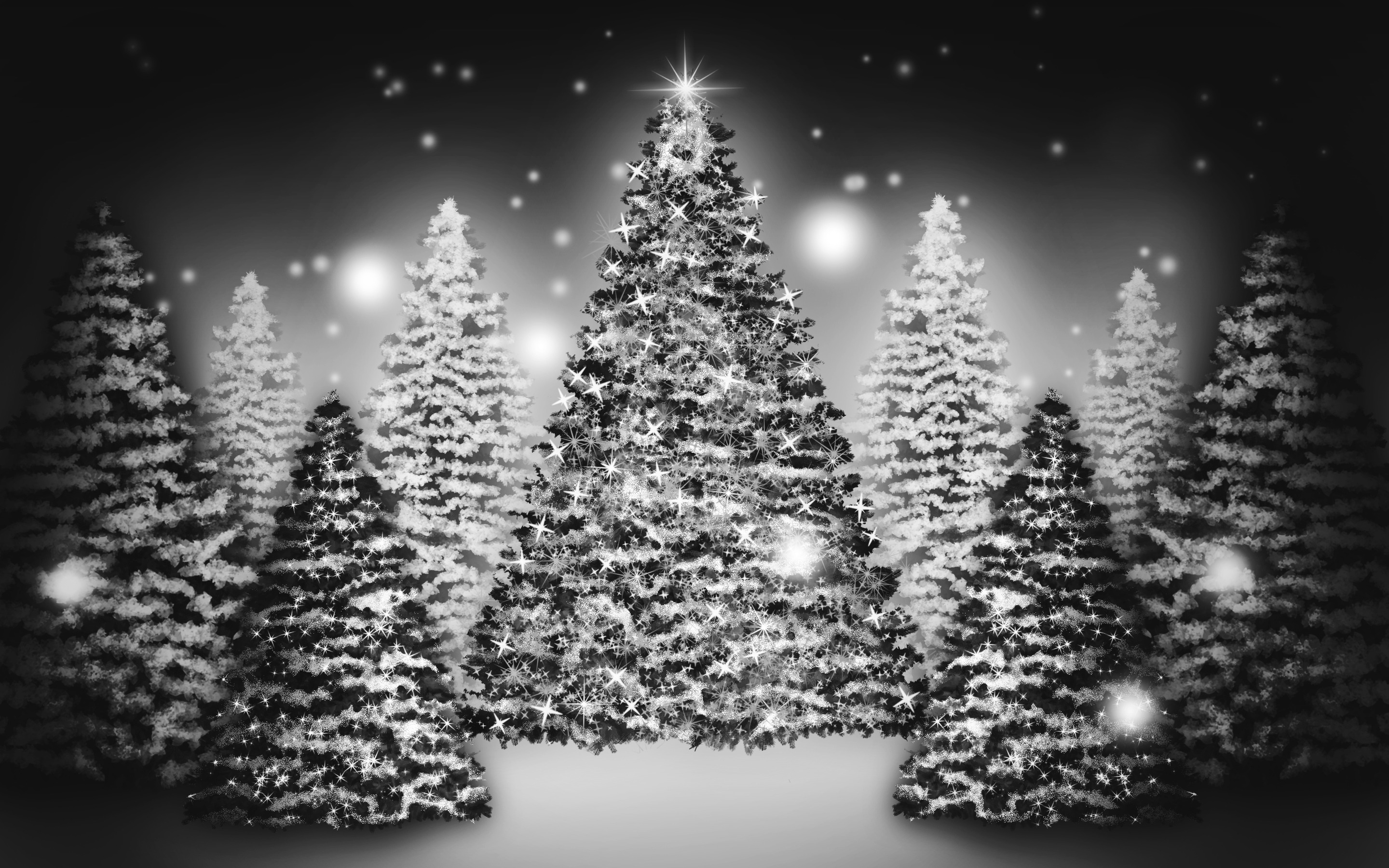 black christmas wallpaper,christmas tree,balsam fir,tree,colorado spruce,oregon pine