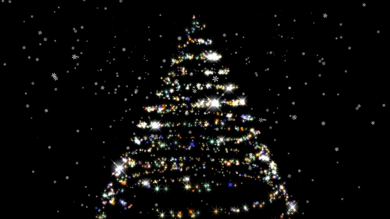 black christmas wallpaper,christmas tree,tree,christmas decoration,nature,black