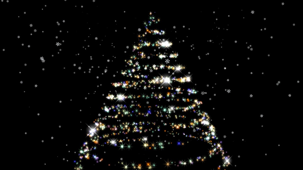 schwarze weihnachtstapete,weihnachtsbaum,baum,weihnachtsdekoration,natur,schwarz